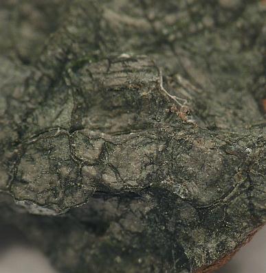 Oldhamite
