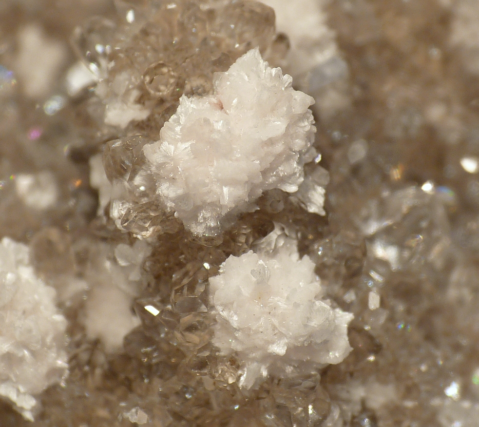 Oyelite