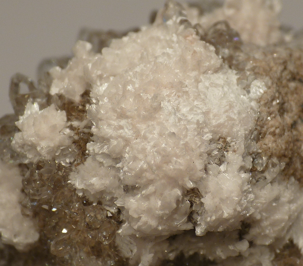 Oyelite