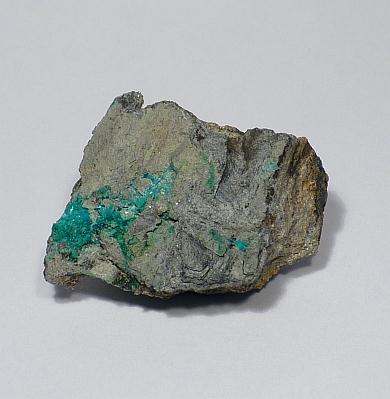 Posnjakite