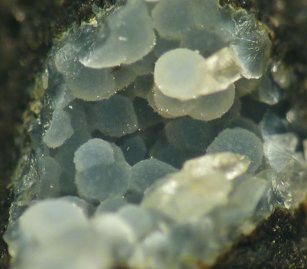 Cowlesite