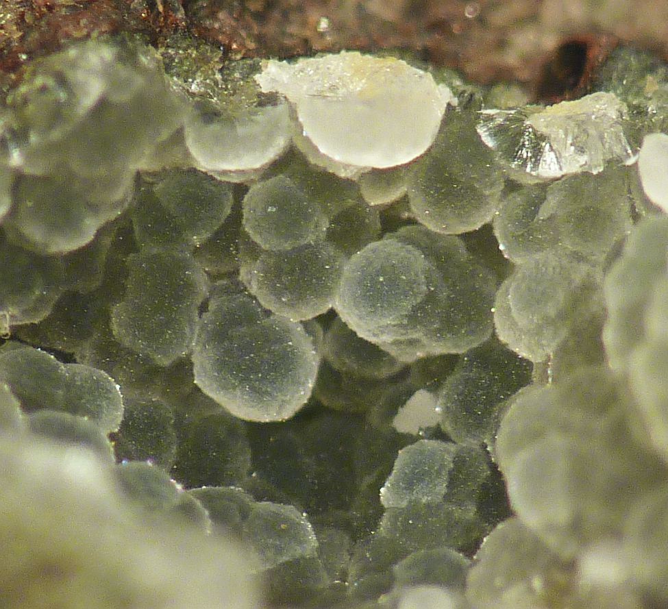 Cowlesite