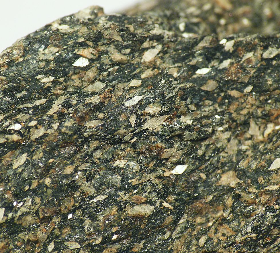 Naujakasite