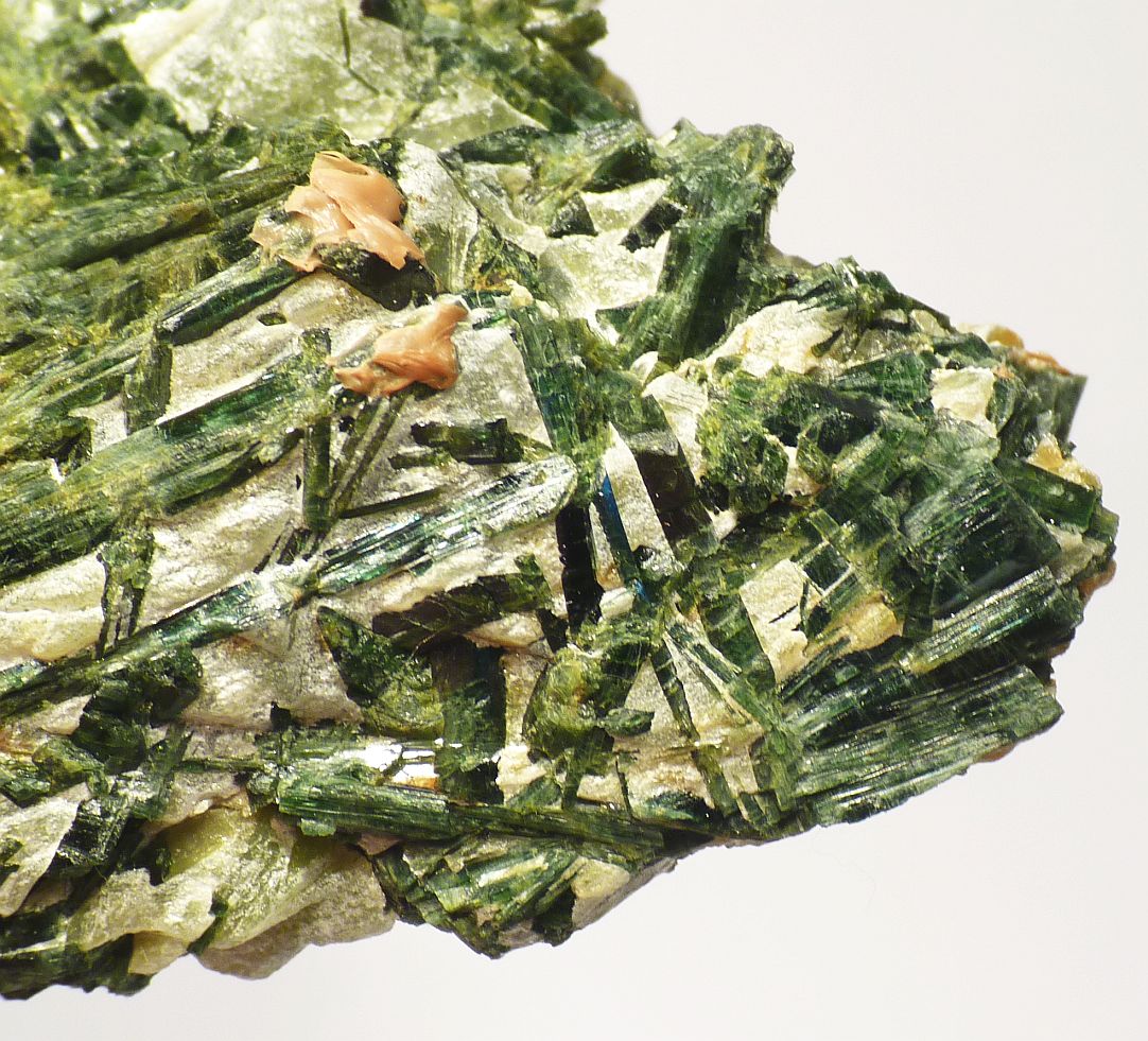 Actinolite