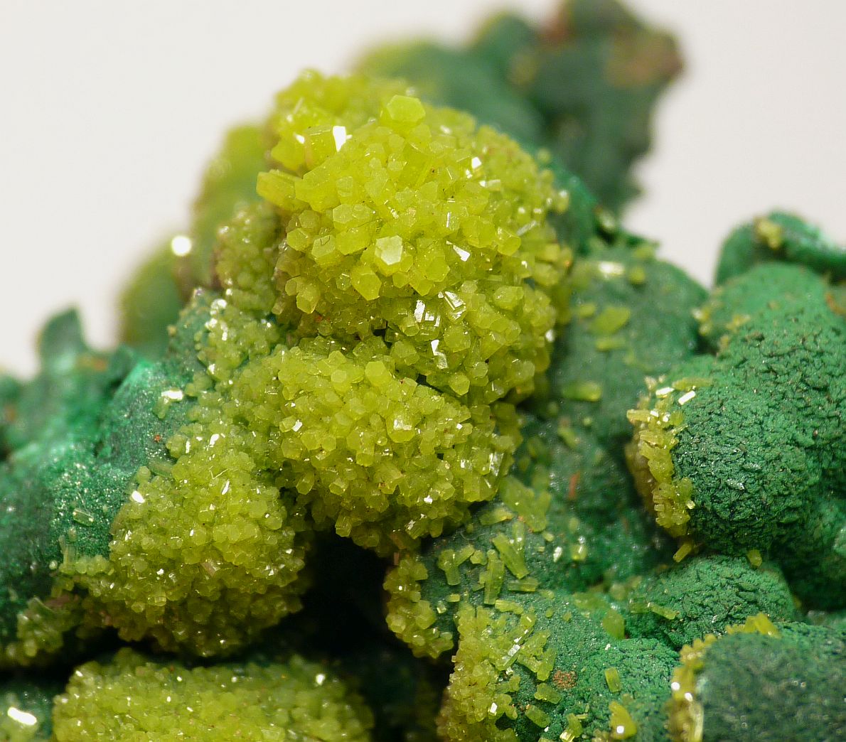 Pyromorphite