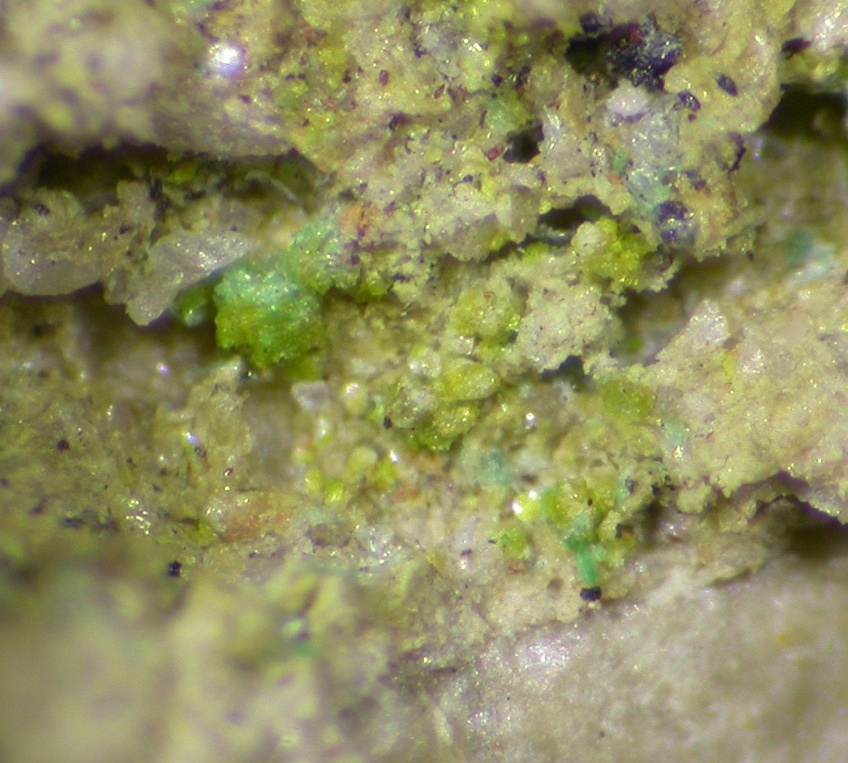 Sengierite