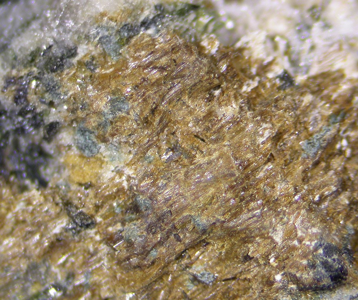 Kalifersite