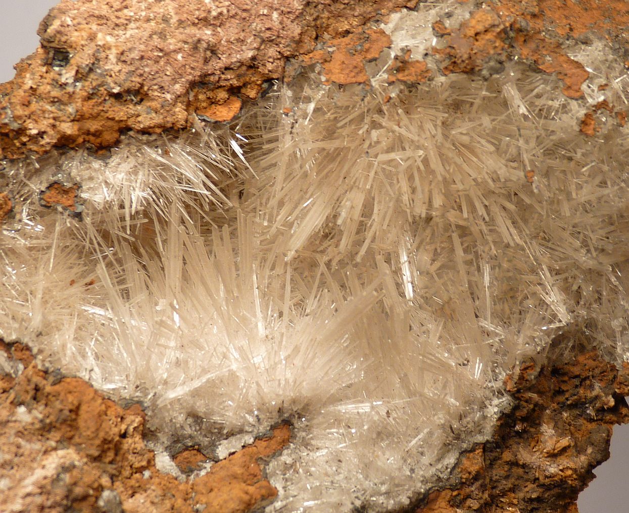 Scholzite