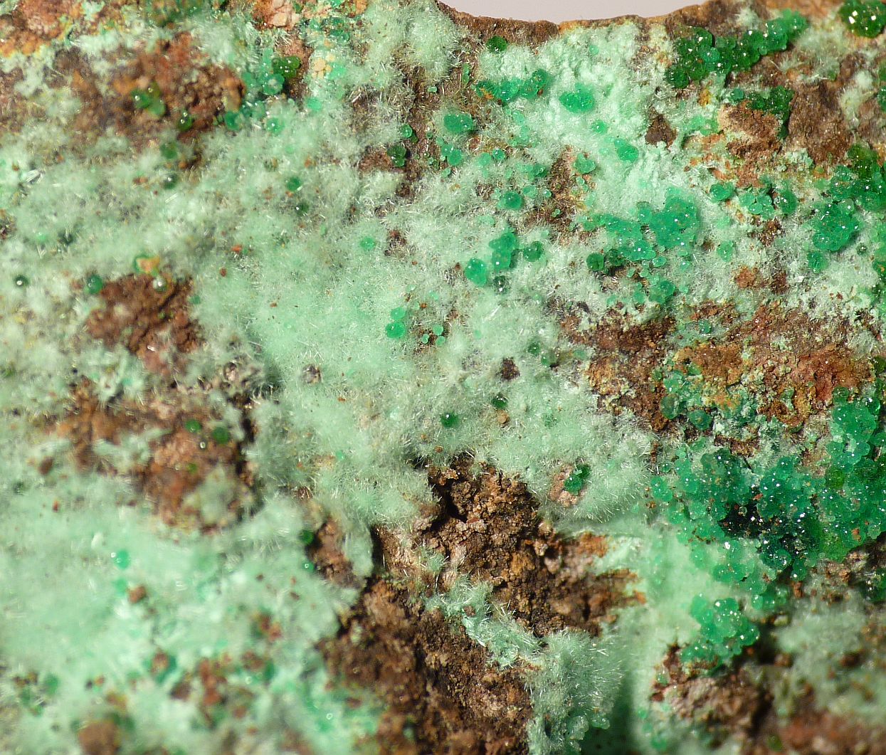 Agardite-(La) & Adamite