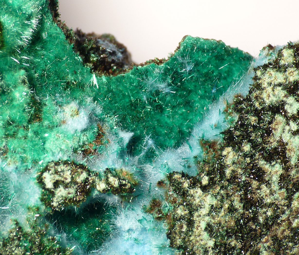 Cyanotrichite & Brochantite