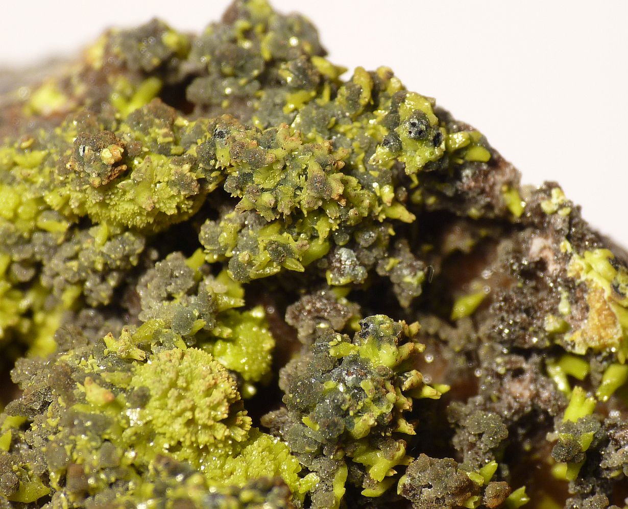 Plumbogummite & Mimetite