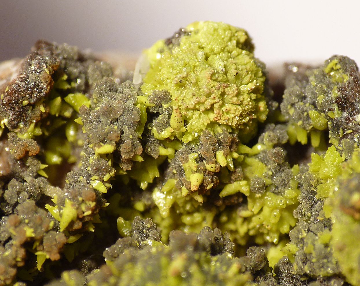 Plumbogummite & Mimetite