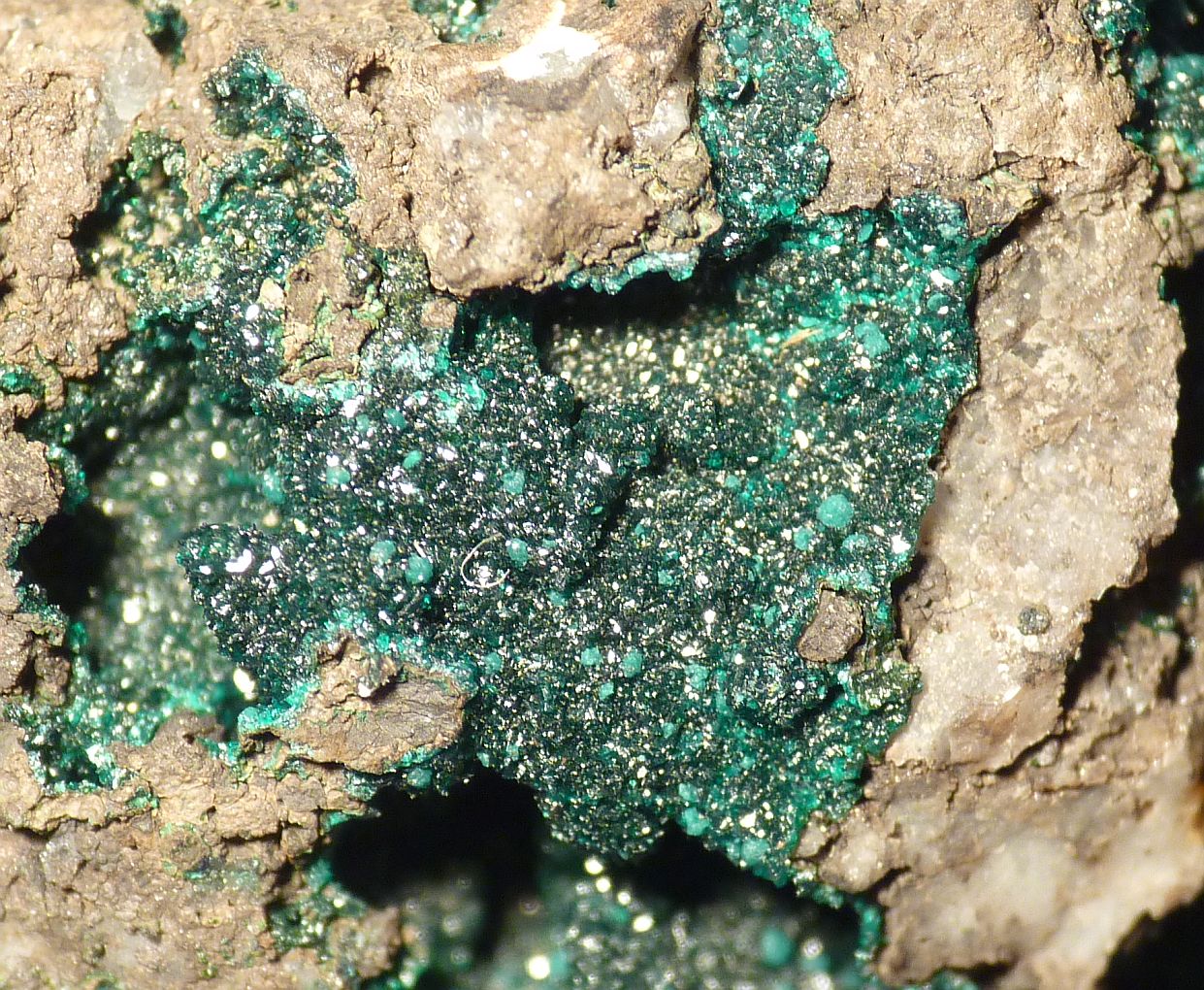 Ludjibaite Reichenbachite & Pseudomalachite