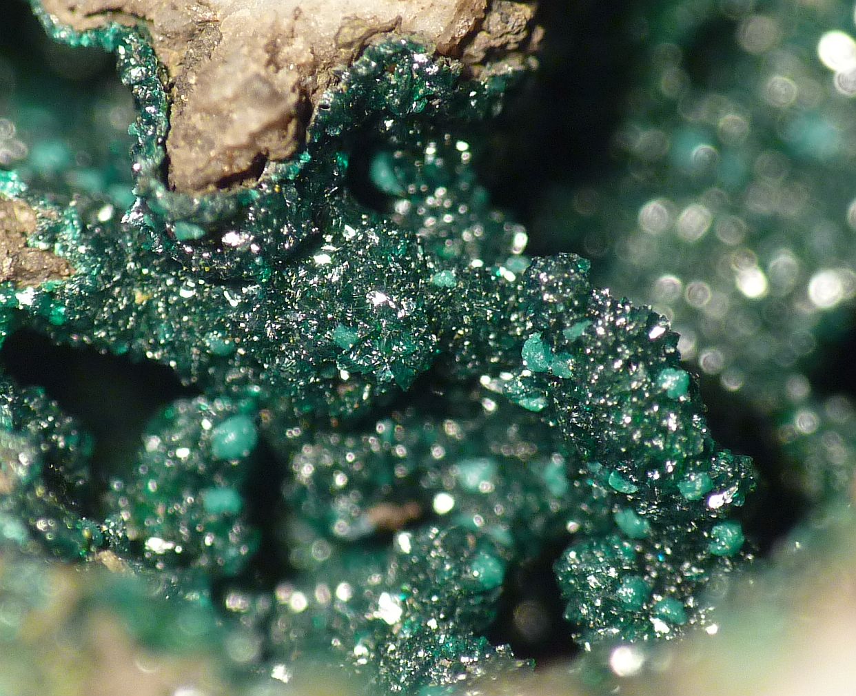 Ludjibaite Reichenbachite & Pseudomalachite