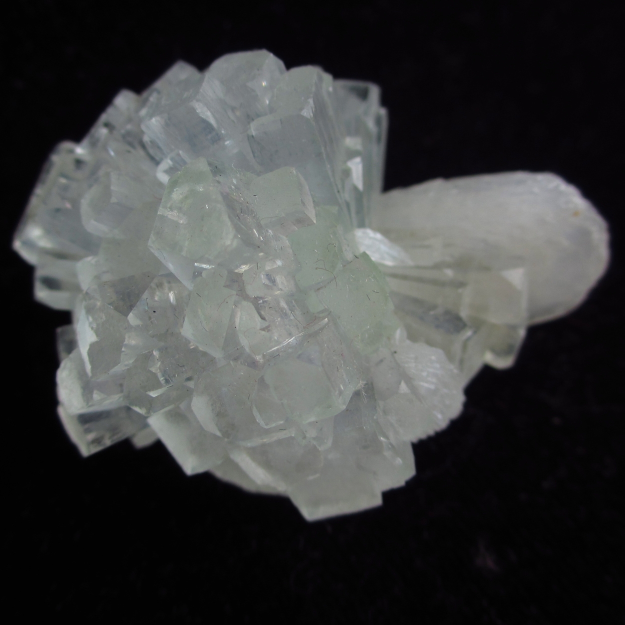 Apophyllite & Stilbite