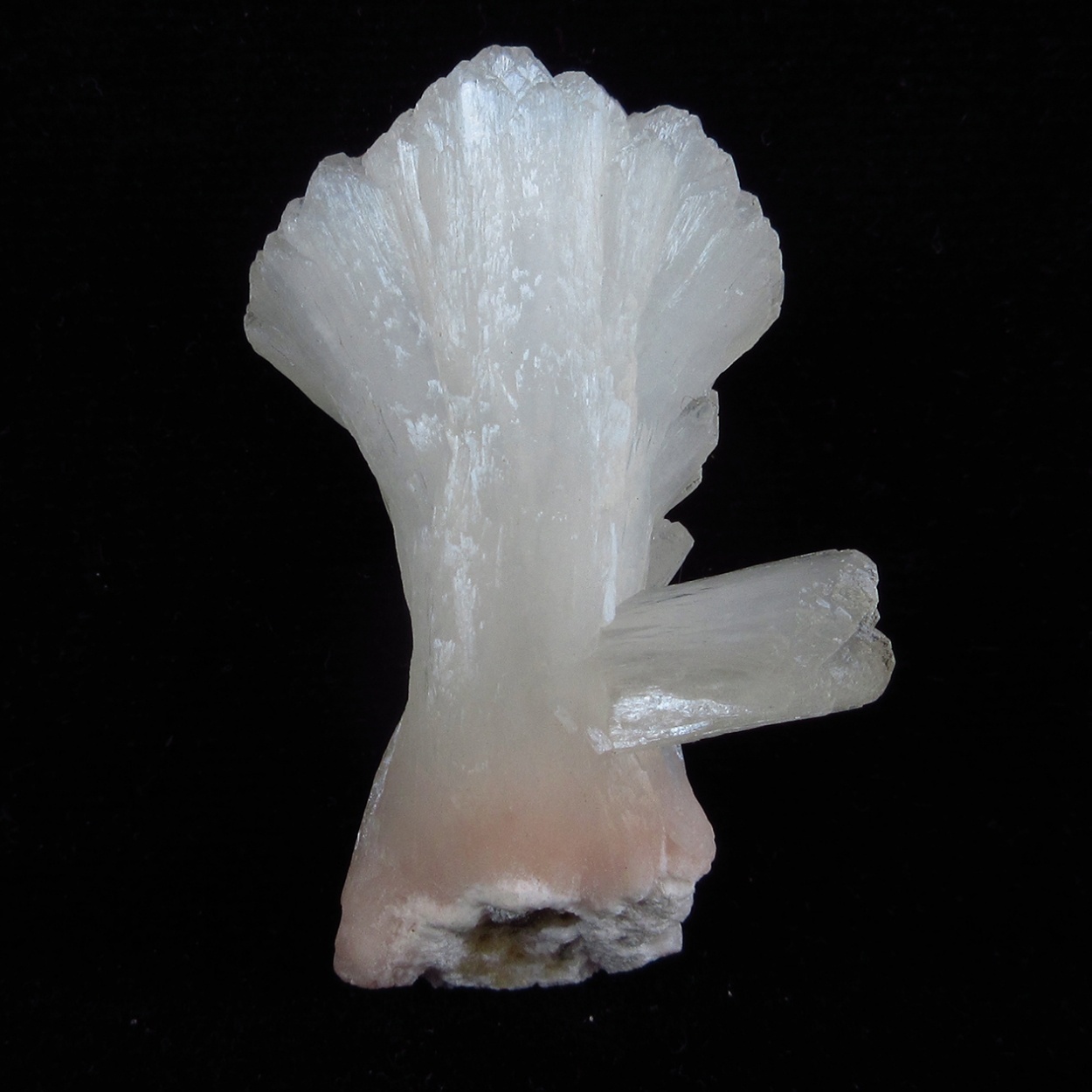 Stilbite