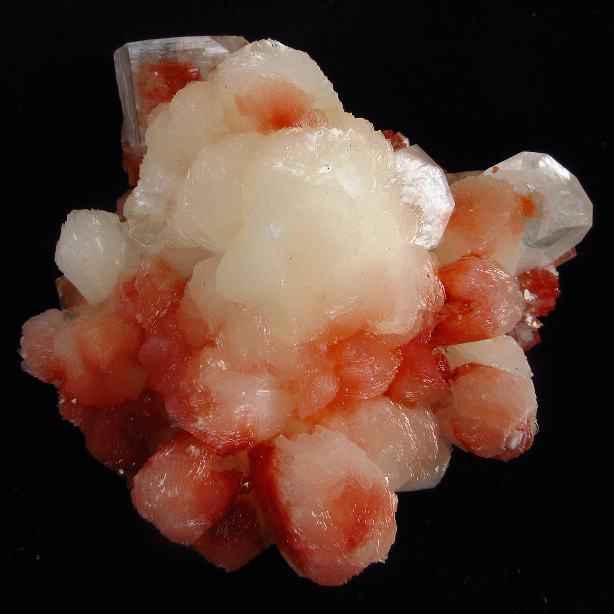 Stilbite With Apophyllite