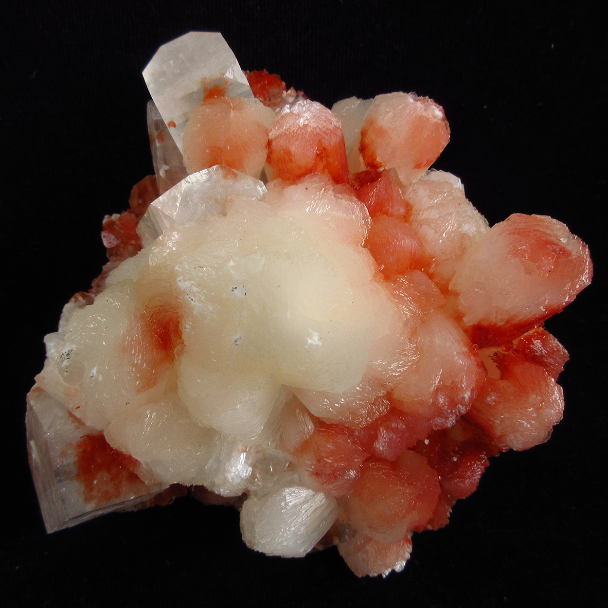 Stilbite With Apophyllite