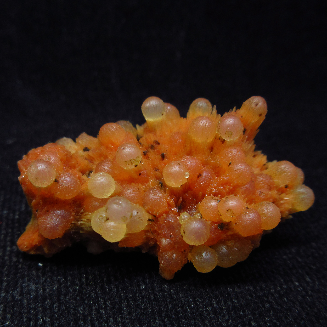 Chalcedony On Scolecite