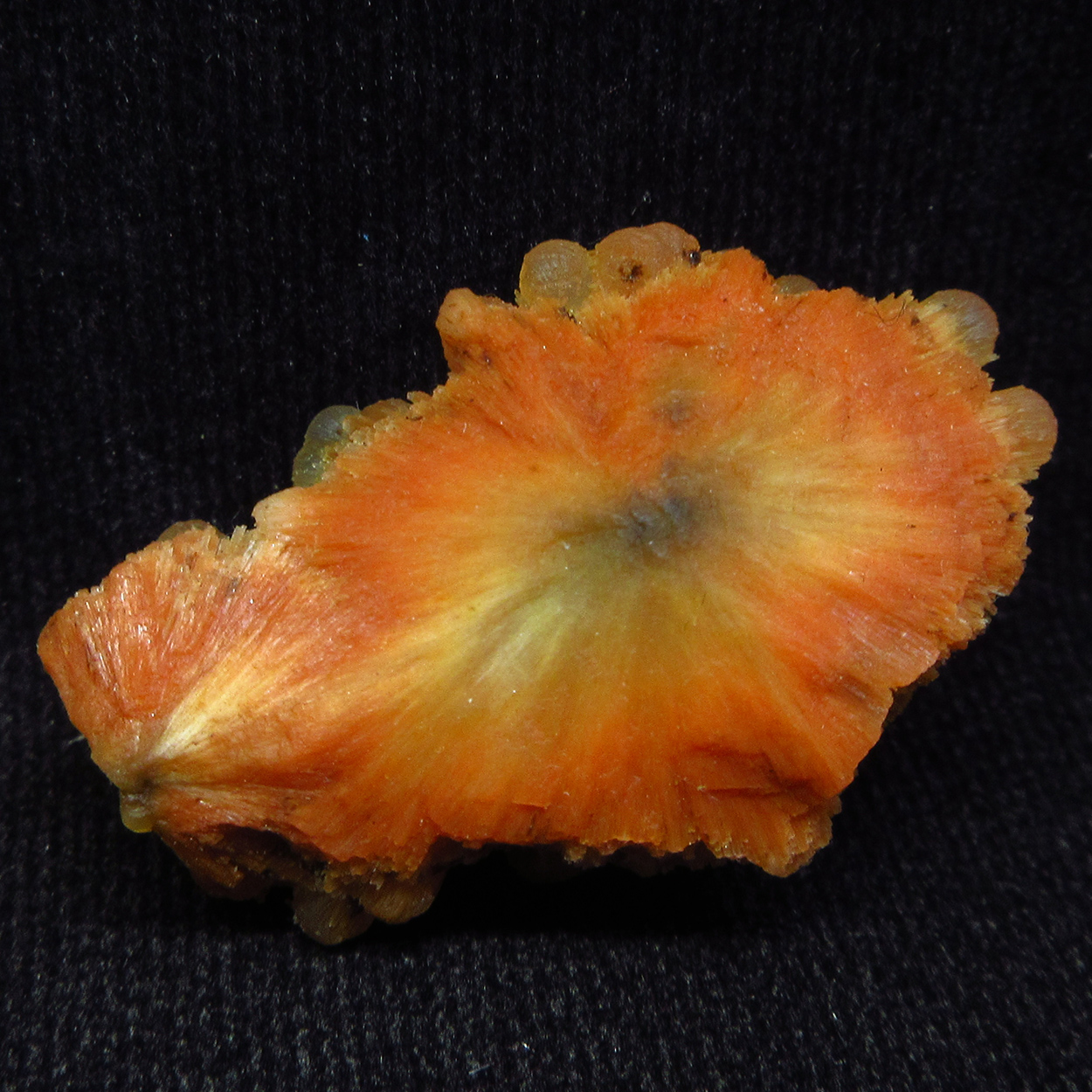 Chalcedony On Scolecite