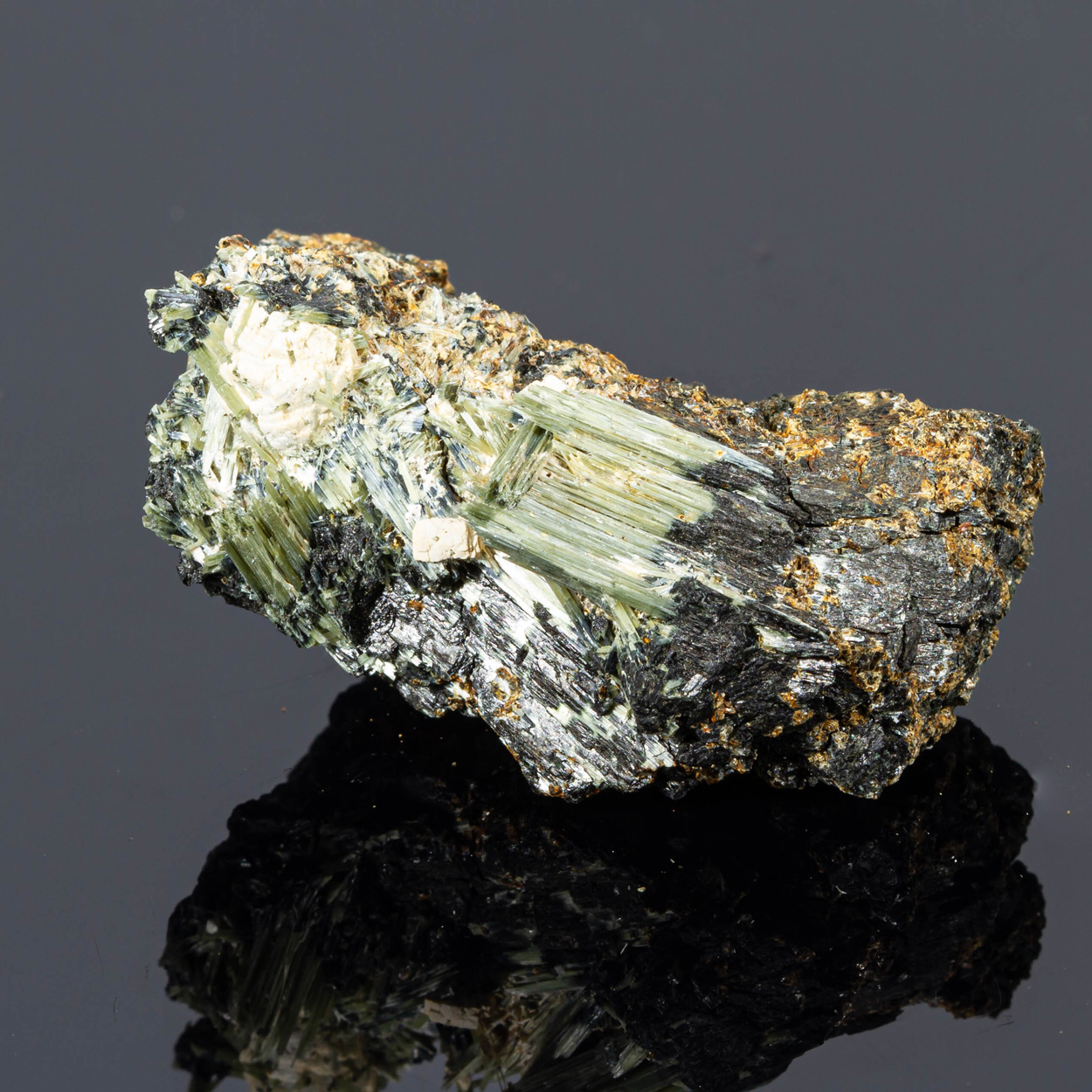 Actinolite & Epidote