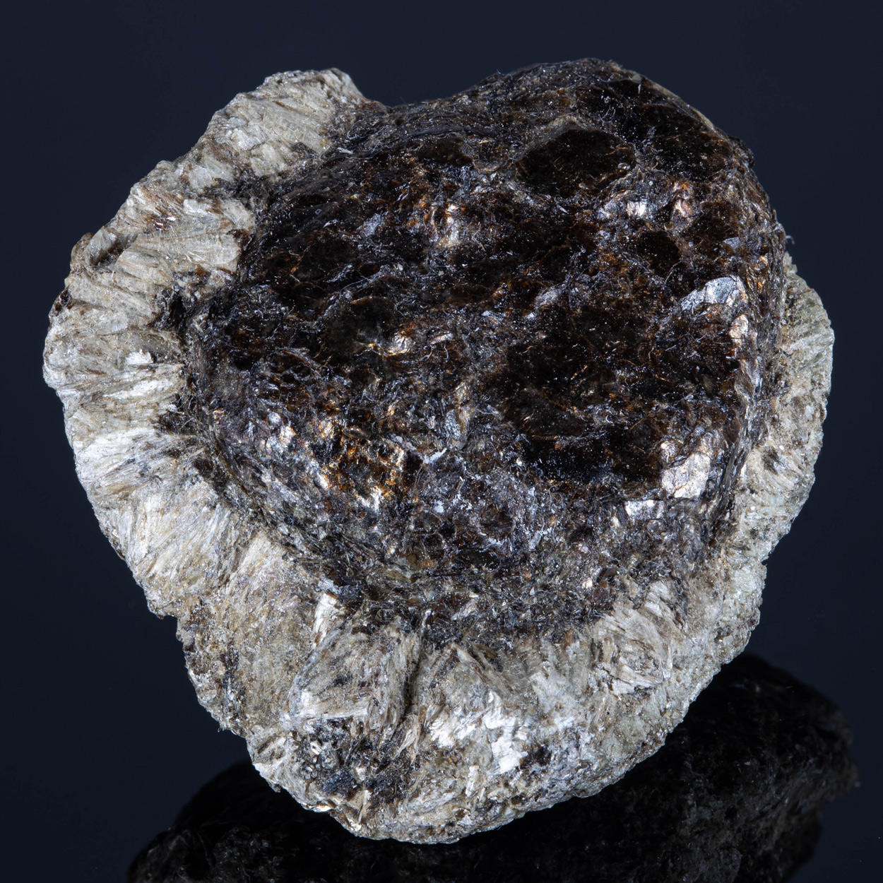 Phlogopite & Anthophyllite