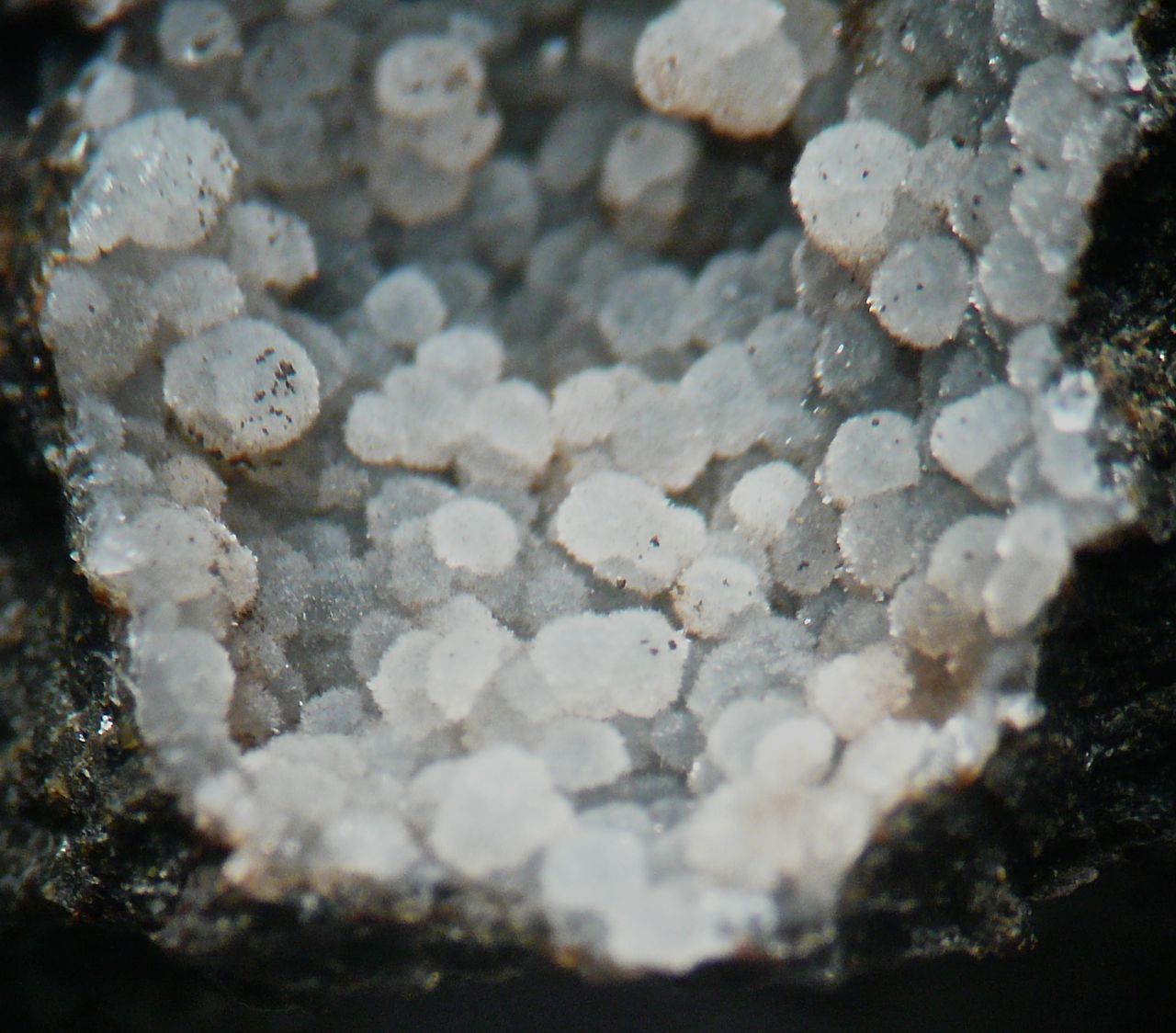 Cowlesite