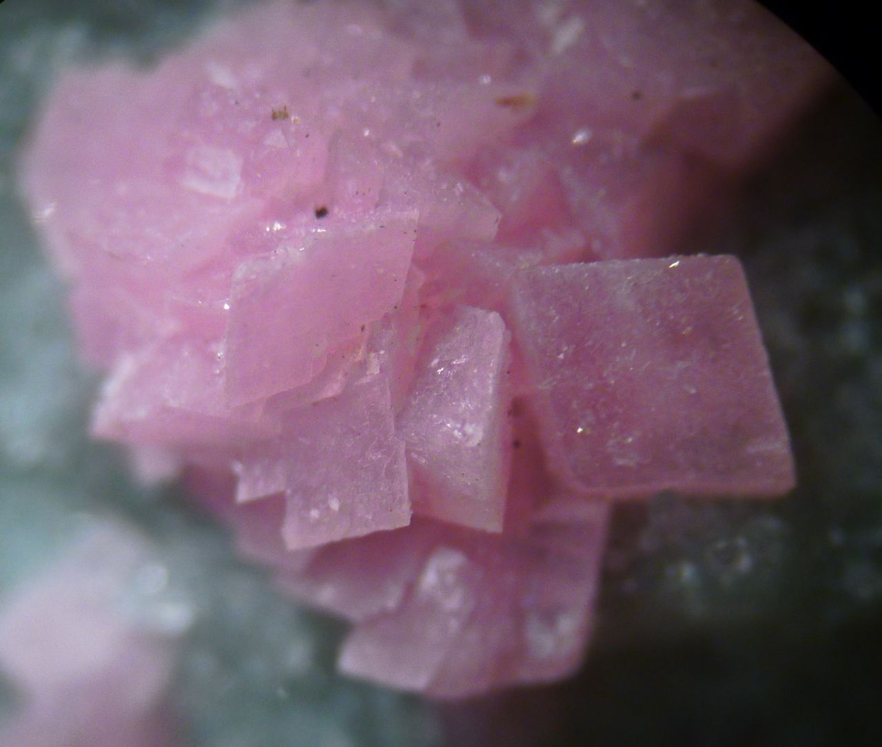 Rhodochrosite & Quartz