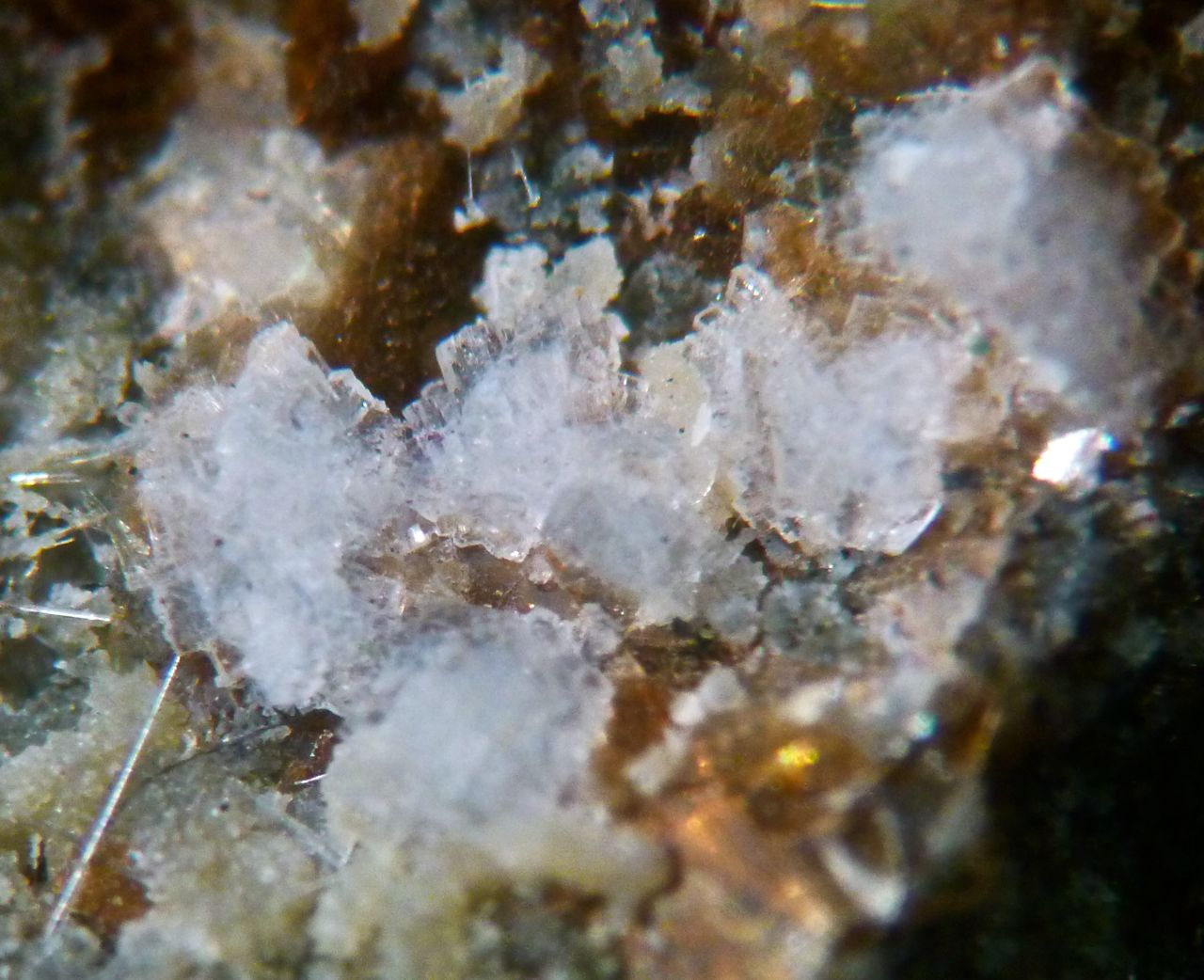 Willhendersonite Kalsilite Phillipsite & Phlogopite