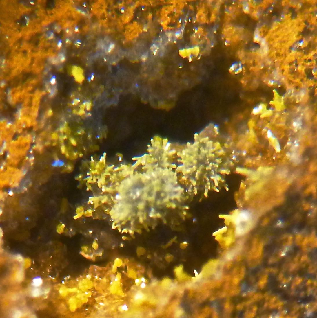 Phosphohedyphane & Mimetite