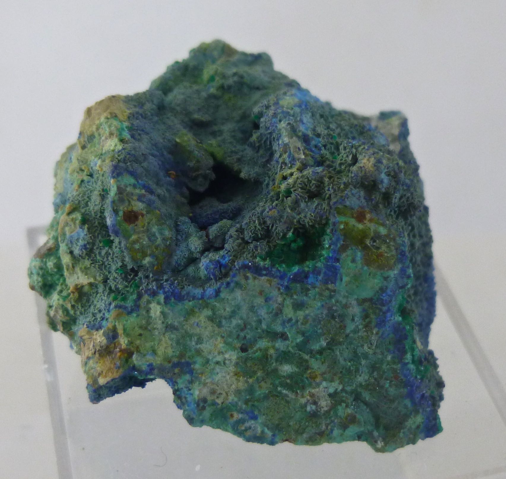 Philipsburgite & Azurite