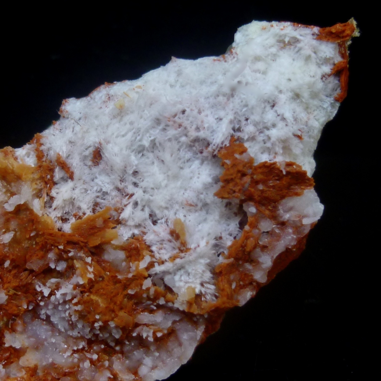 Tremolite Stellerite & Quartz