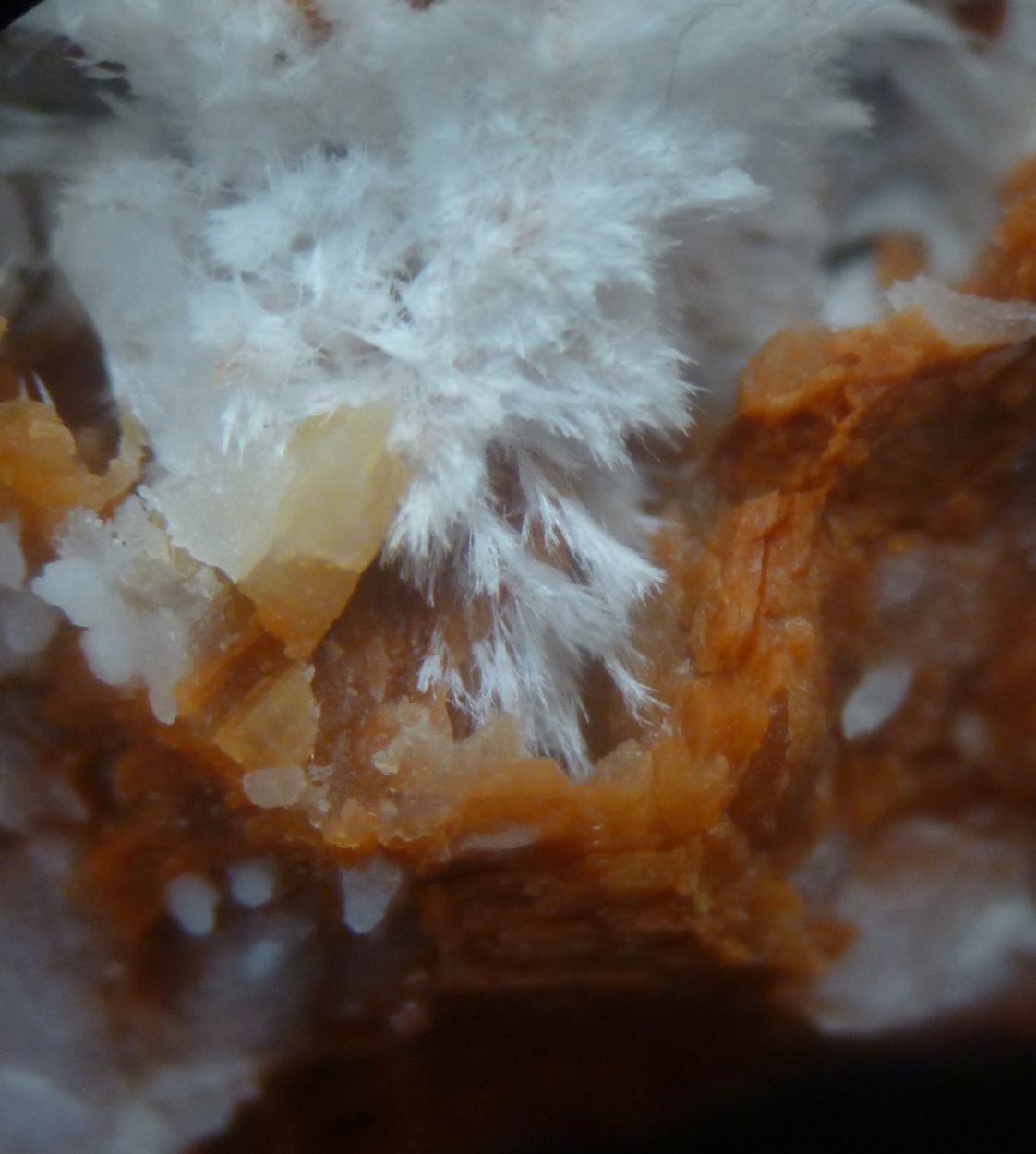 Tremolite Stellerite & Quartz