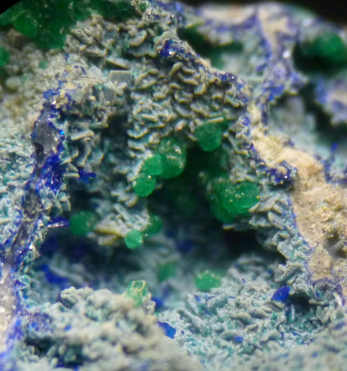 Philipsburgite & Azurite