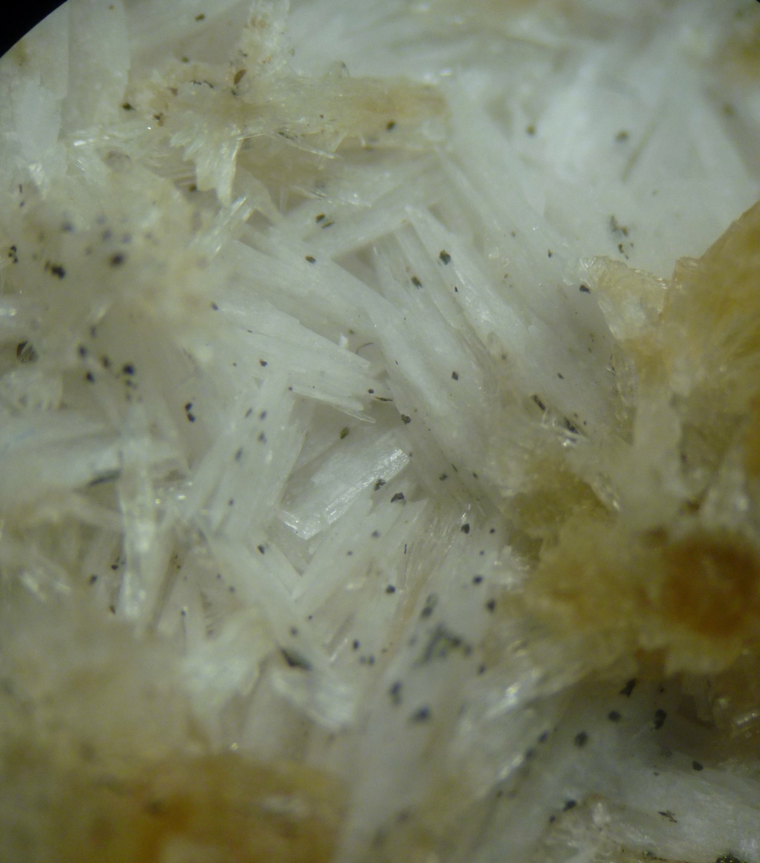 Strontianite & Cockscomb Baryte