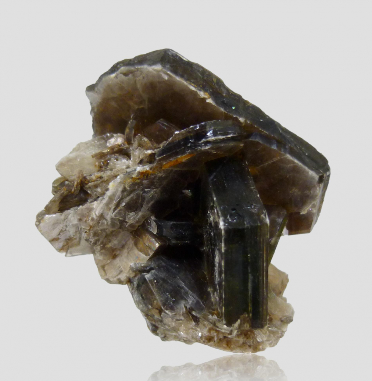 Muscovite