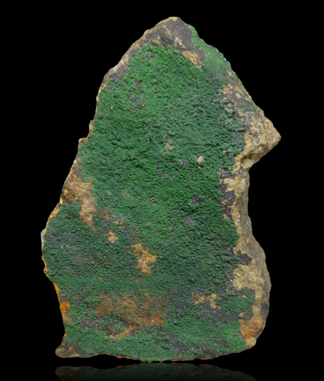 Bayldonite
