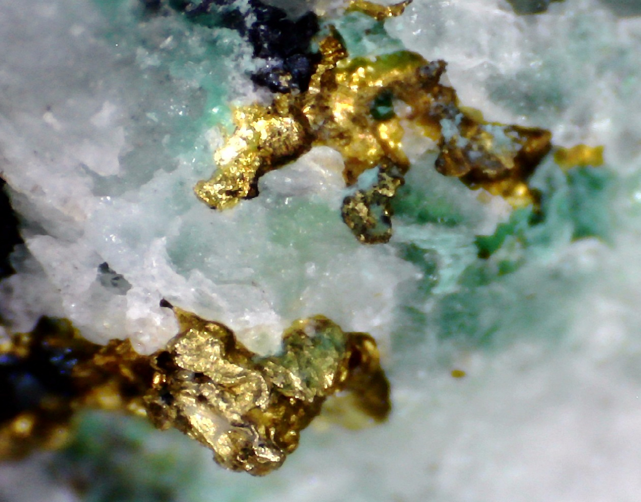 Gold Malachite & Bornite