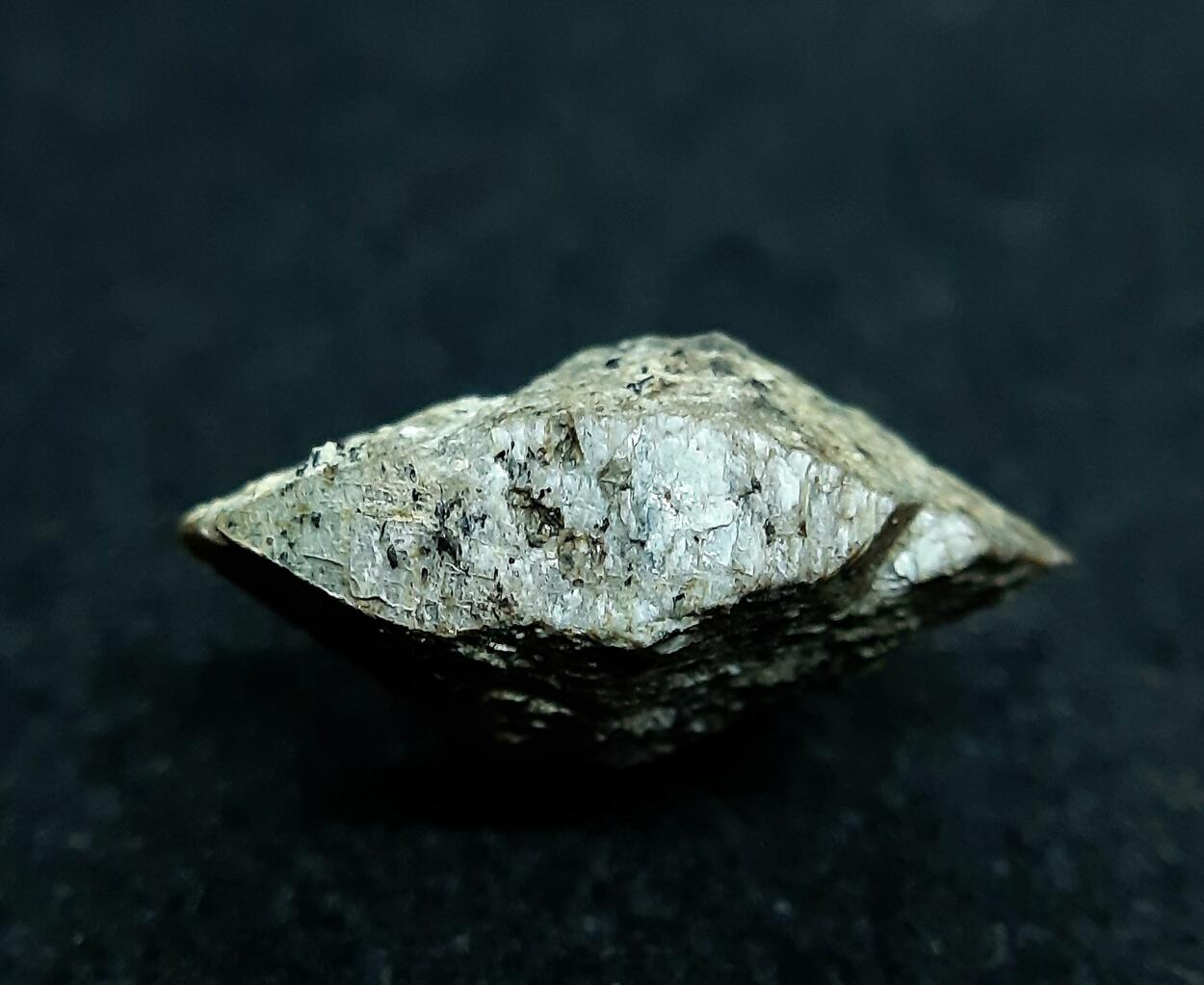 Naujakasite