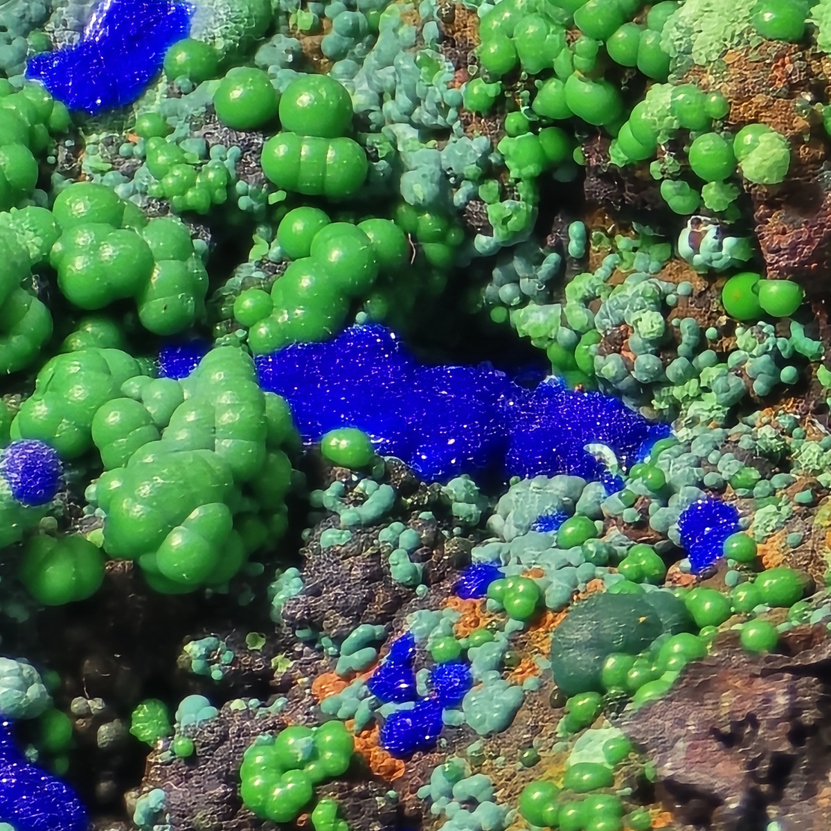 Azurite Conichalcite Arsenocrandallite & Aragonite