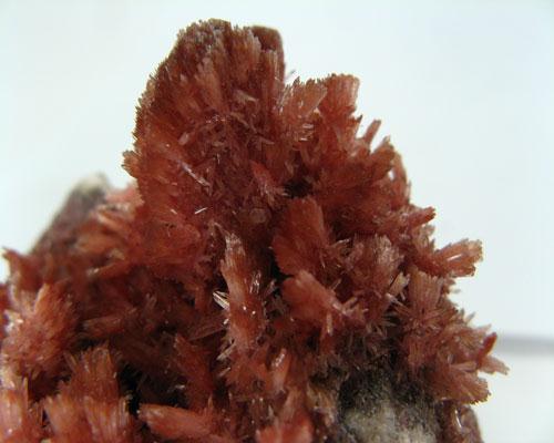 Inesite Baryte & Calcite