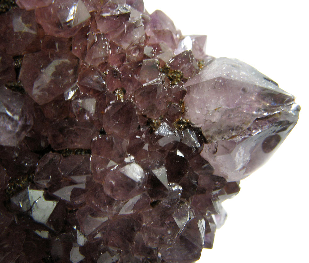 Cactus Quartz