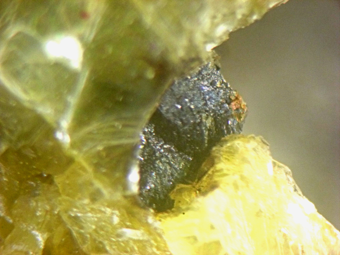 Ferrotitanowodginite