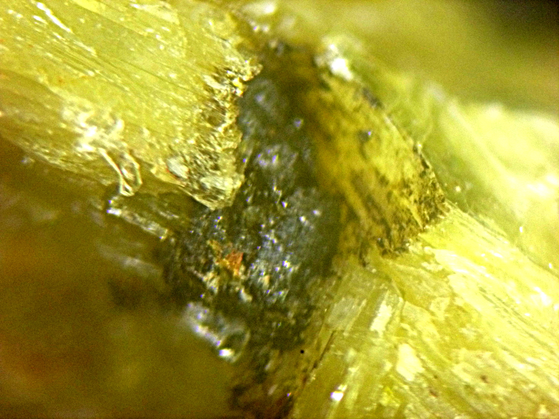 Ferrotitanowodginite