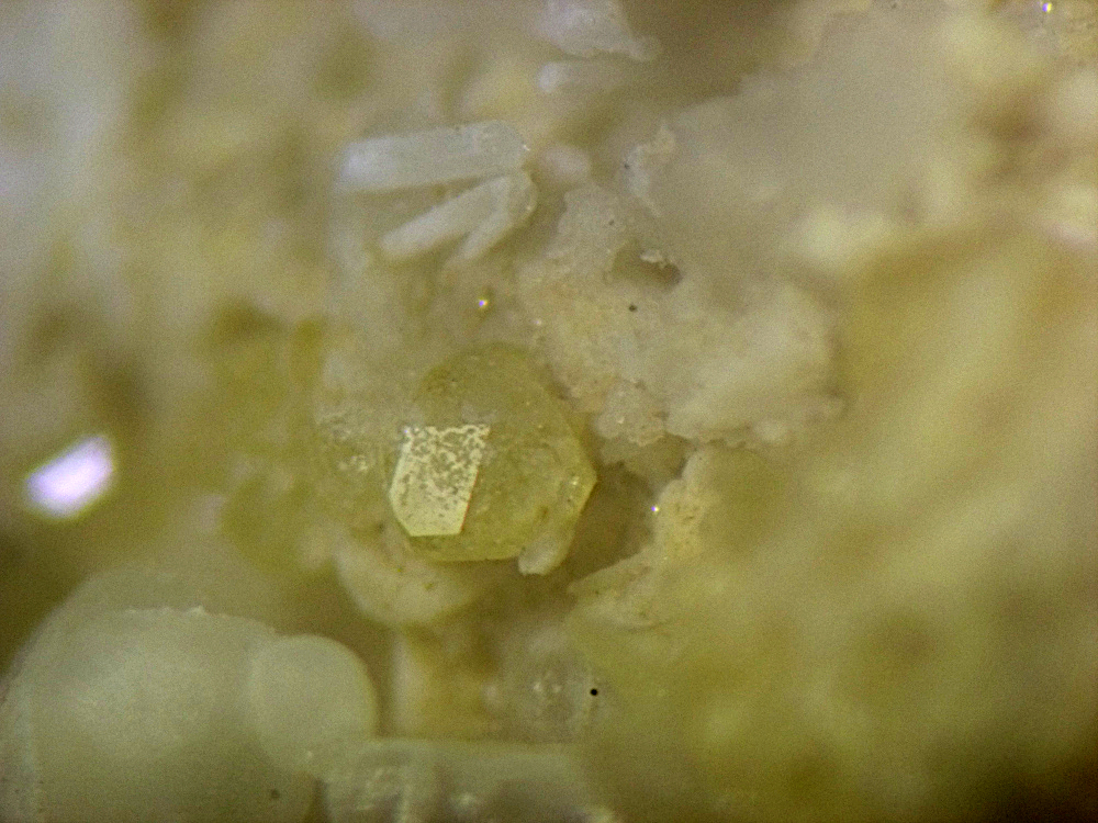 Chondrodite & Kaliophilite