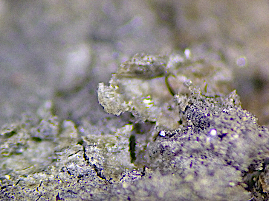 Ravatite