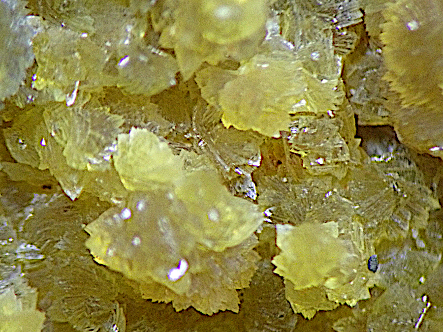 Leucophosphite