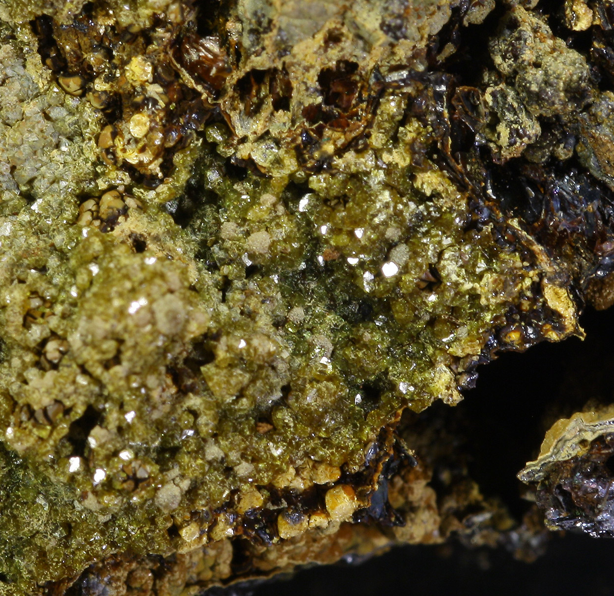 Natropharmacosiderite & Arseniosiderite