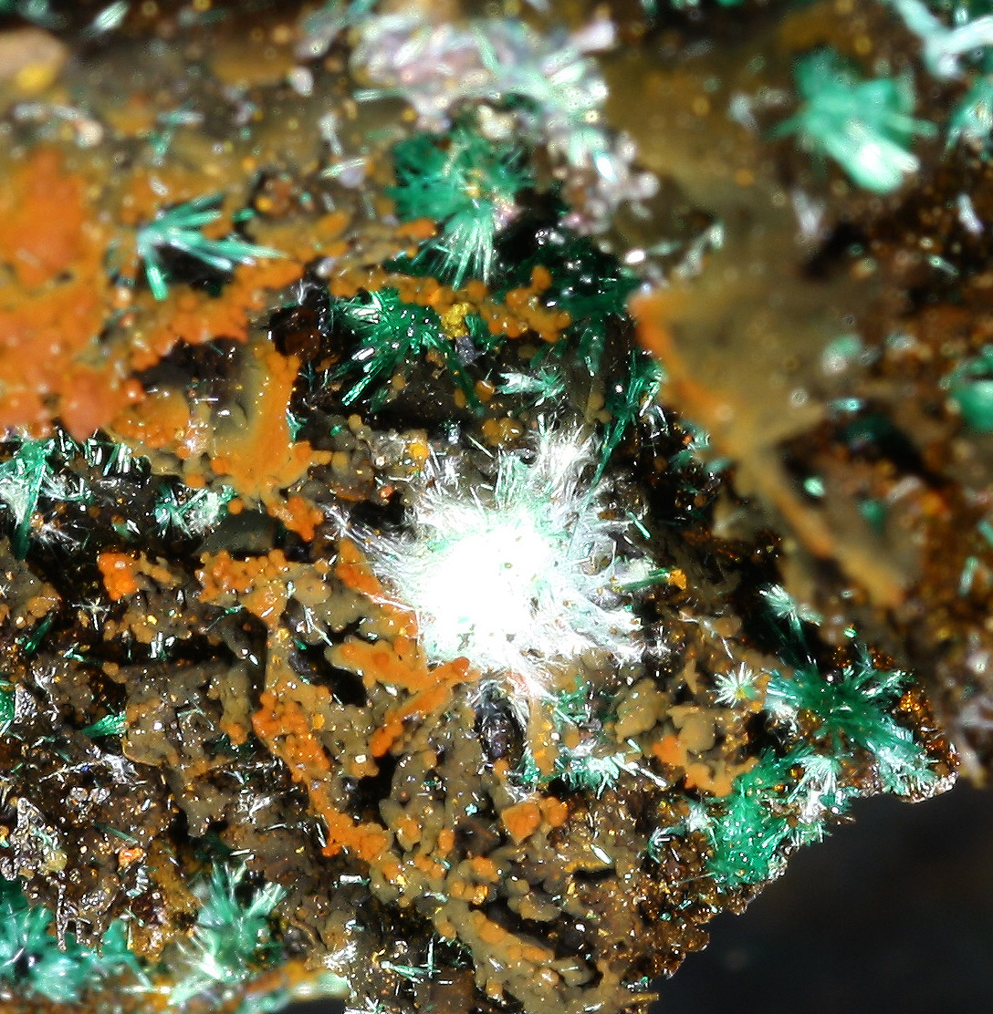 Agardite Malachite & Brochantite