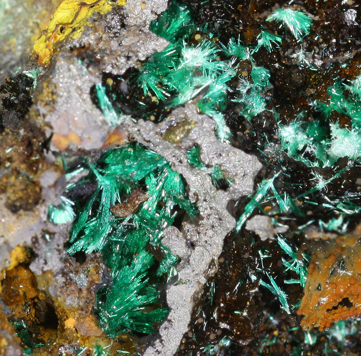 Agardite Malachite & Brochantite